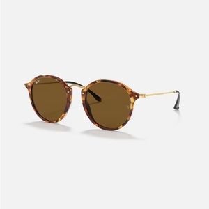 Ray Ban- Polished Brown Havana